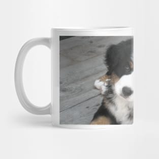 Baby Einstein Mug